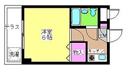 グローバルニシキ