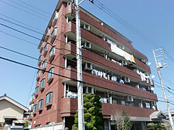 江戸川区南篠崎町２丁目