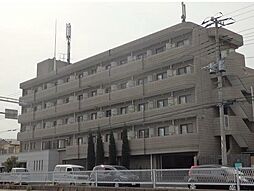 SOCIETY MINAMI-GYOUTOKU