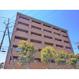 ザ・グランド・アルビオン