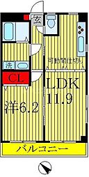 コニファー新柏 303