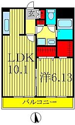 プリマヴェーラ 205