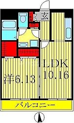 プリマヴェーラ 202