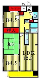 イーストグレイス 301