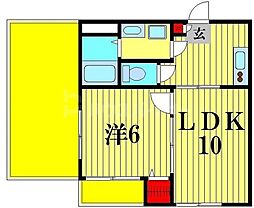 コンフォート 502