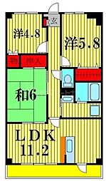 INSURANCE BLDG.XVII 202