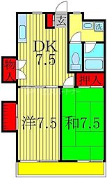 グレース寿 205