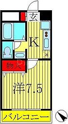 ピアリープレイス 203