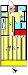 プライマリー 101