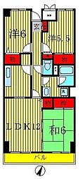 グリーン新柏 204
