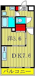 クレール柏 605
