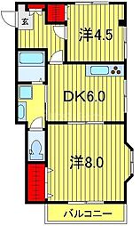 KA-ZU柏 203
