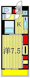 リブリ・ラシーナIII 105
