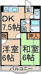 SOCIA YAMANE 0305