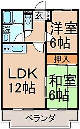 グレイス・コート 0101