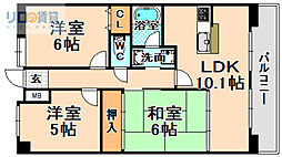 コスモカウンティII