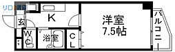 カーサフェリス