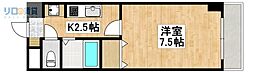 カーサフェリス