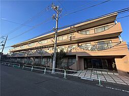 コーナスフロリダ