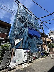 クリサンテーモ