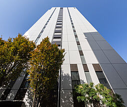 MODERNO TORRE SHO-TO