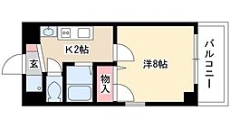 プラーチド