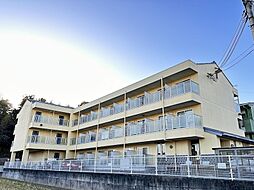 ドミトリーユー