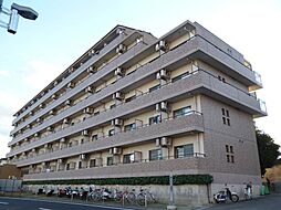 ピュア・ドミトリーシミズ