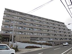 ピュア・ドミトリーシミズ