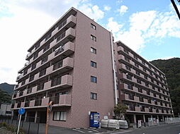 アマデウスVII朝来