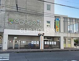 平塚市　幸町　土地