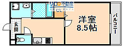 アーバングレース