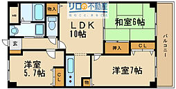 ＨＩＹＯＤＯＲＩ