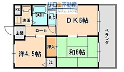 ホワイトハイツ