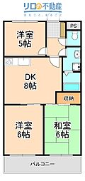 コウシンミズホ