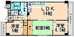 エリーナ宝塚