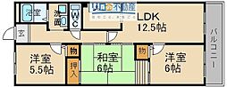 シャトーヌーヴォー