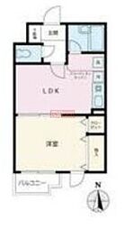 パレロワイアル 303