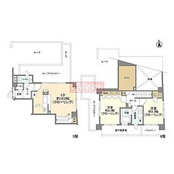 ラコント永福 502