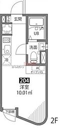 hanegi R 204