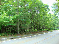 南都留郡富士河口湖町富士ヶ嶺土地