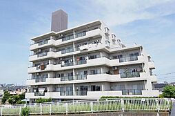 ハイマート川越