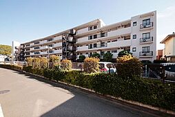 エクセルふじみ野