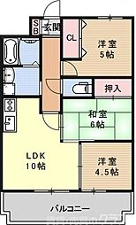 フローラみずほ 703