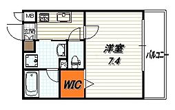 フェリックス鞍馬口 205