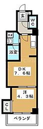 アメイジング桂 205