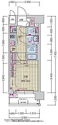 プレサンス十条凛華 204