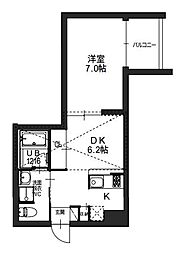 ZINNIA（ジニア） 505