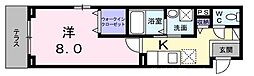 ブライトアイリス 507