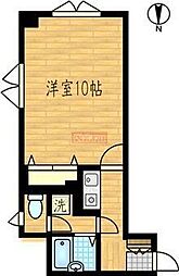 パイングローリー 205